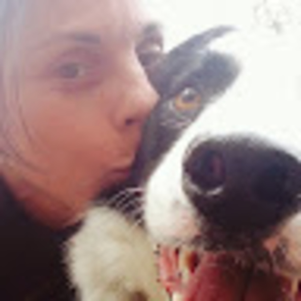Meet your Posher, Bridget